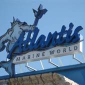 Long Island Aquarium