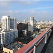 Albert Barnes Rooftop