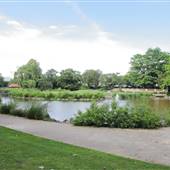 Bishop’s Park - Beach and Water Play / Lake