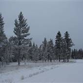 Annie Lake Golf Course