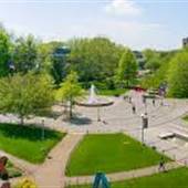 Stony Brook University