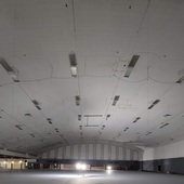 The Arena