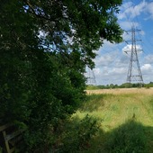 Hall Marsh Scrape 