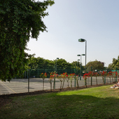 Holland Park - Tennis / Netball Court