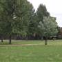 Archbishop's Park