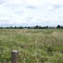 Coldblow Field