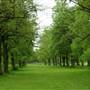 Foots Cray Meadows