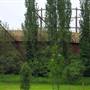 Shenstone Park