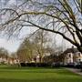 Fortune Green