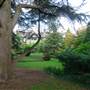 Coombe Wood Gardens