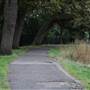 Norbury Hall Park