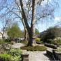 Canonbury Square