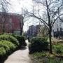Compton Terrace Gardens