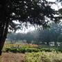 Kilburn Grange Park