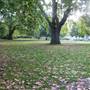 Lincoln's Inn Fields