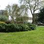 St Andrew's Gardens