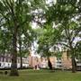 Regent Square Gardens