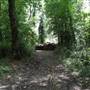 Sanderstead Plantation