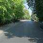 Thicket Road