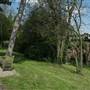 South Norwood Lake and Grounds