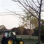 Hammonton - Business and Homes