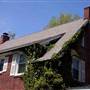 Hammonton - Homes and School