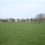 Peckham Rye Park and Common