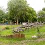 Cathnor Park