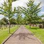 North Sheen Cemetery