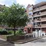 White City Estate