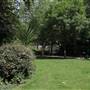 Avondale Park Road Gardens