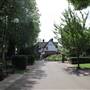 Avondale Park Road Gardens