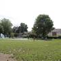 Avondale Park - Main Area