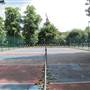 Bishops Park - Rocklane Tennis Courts