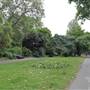 Embankment Gardens Chelsea