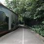 Holland Park - Main Area