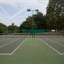 Holland Park - Tennis Court 2 / Netball