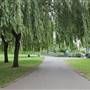 Little Wormwood Scrubs - Playground and Outdoor Gym Area