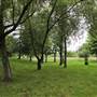 Little Wormwood Scrubs - Main Area