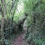 Little Wormwood Scrubs - Main Area