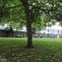 Ropers Gardens