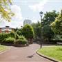 Wayneflete Square