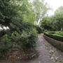 Bishops Park - River Walk / Thames Path