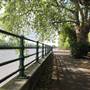 Bishops Park - River Walk / Thames Path