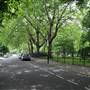 Bishops Park - Bishops Avenue