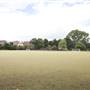 Hurlingham Park – 3 x Football Pitch