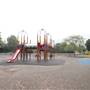 Hurlingham Park- Playground