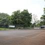 Ravenscourt Park - Tennis