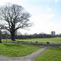 Mottingham Recreation Ground