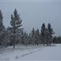 Annie Lake Golf Course
